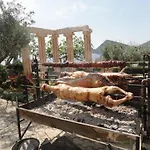 Panorama Tolón